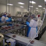 Workers in the packing phase of the Arils after extraction